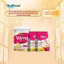 Combo Sữa Bột Diabetes Cho Người Tiểu Đường Lon 850g Và 2 Túi Ngũ Cốc Dinh Dưỡng Diabetes - Ổn Định Đường Huyết