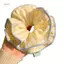 PNPIA- Sọc Lớn Ruột Scrunchie Thoáng Khí Thoải Mái Thời Trang Phụ Kiện Tóc Cho Bé Gái Dailymute
