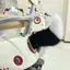 Xe Điện Đuôi Xe Trang Trí Đuôi Xe Điện Sang Trọng Đuôi Nhỏ Điều Khiển Từ Xa Động Vật Đuôi Hai Chiều Z5C5