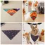 QEARY Thú Cưng Halloween Bandana, Vải Polyester Họa Tiết Ma Chó Tam Giác Yếm, Lễ Hội Chó Con Cổ Hai Mặt Hình Tam Giác Nhẹ Mèo Nước Bọt Khăn Quần Áo Cho Chó