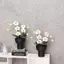 MJnmc Sống Động Như Thật Thu Nhỏ Giả Phalaenopsis Hoa Lan Chậu Cây Bền Nhà Búp Bê Trang Trí Cho Trẻ Em DIY Nhà Búp Bê Cảnh Trang Trí Quà Tặng Mới
