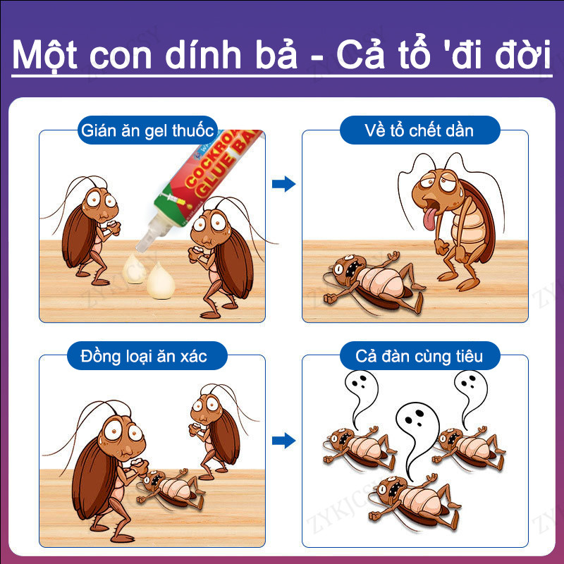 【Nhập khẩu từ Nhật Bản】Giết chết toàn bộ tổ gián Gián chết hàng loạt diệt gián diệt gián diệt gián nhật bản diệt gián sinh học diệt gián đức