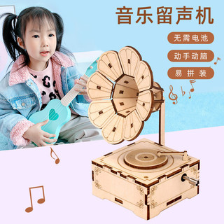 Trẻ em diy Ferris Bánh Xe Hộp Nhạc Piano Lắp Ráp Hộp Nhạc Merry-go-round Gỗ Handmade Xếp Hình Đồ Chơi