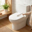 Khóa nắp bồn cầu QEARY, Khóa cấu trúc khóa Khóa an toàn nhà vệ sinh chống mài mòn, Thiết kế tự dính bằng nhựa nhẹ đa năng Bảo vệ thú cưng