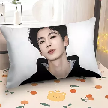 Ôm Gối Hàng Hóa Ngôi Sao Gối Gối Gối Gối Bolster Zhang Linghe Gối Sofa Trang Trí Gối Ngôi Sao Gối Trang Trí Gối Phòng Gối Ký Túc Xá Gối 6.15 DD