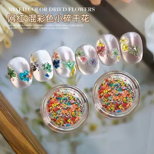 Ooolala Móng Tay Hoa Nhật Bản Monet Vườn Sơn Dầu Màu Sắc Phù Hợp Với Hoa Nhỏ Hỗn Hợp Hoa Tự Làm Móng Tay Trang Sức Nhỏ Tươi