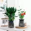 Maybest Mini Tự Tưới Hoa Bể Cá Nhựa Trong Suốt Chậu Cây Tự Tưới Cây Bình Hoa Để Trang Trí Nhà Cửa {VN}