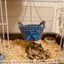 Võng Hamster MCODECOVED, Thoáng Khí Gnawing Proof Guinea Pig Hideout, Treo Lồng Nhà Đan Tay Nơ Giỏ Treo Giường Tất Cả Các Mùa
