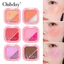 Đĩa cao hai màu hai trong một Pearly Fine Flash Blush Rouge Cheek Trang điểm sử dụng kép