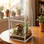 Hộp bò sát Acrylic QEARY, Terrarium nhện thông gió trong suốt, Khóa khóa vỏ thằn lằn Hộp đựng thức ăn bò sát chống thoát hiểm Jumping Spider Habitat