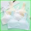 PS1 Trẻ Em Áo Ngực Cho Bé Gái Quần Lót Học Sinh Trung Học Nữ Trung Học 12-15 Tuổi Phát Triển Áo Vest Nhỏ Lớn