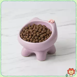 15° Bát nước thức ăn cho mèo nghiêng Ne Bảo vệ cho thú cưng Bát ăn BPA Free Chống trượt cho mèo con Người lớn Đồ dùng cho thú cưng