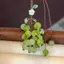 JRP Nho Mặt Dây Chuyền Lily Of The Valley DIY Craft Kit Điện Thoại Tươi Và Dễ Thương Quyến Rũ Túi Charm Sáng Tạo Móc Khóa JRP