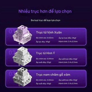 [Ship Nhanh] Bàn phím cơ gaming AULA WIN60 | WIN68 HE | Rapid Trigger | 8000hz | CooBeStore