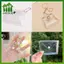 SWEET Trong Suốt Mini Ví Đựng Tiền Xu Móc Khóa Túi Quyến Rũ Túi Xách Thiết Kế Đồng Xu & Tai Nghe Mới Lạ Thu Nhỏ Ví Móc Khóa n