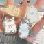 CANAMEK Hoạt Hình Nhỏ Acrylic Kẹp Chất Liệu PP Túi Phẳng Stiy Note Bộ Giá Đỡ Cho Văn Phòng Trường Học Trẻ Em Phụ Kiện Bàn Làm Việc Dễ Thương CSF