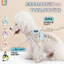 【Ready Stock】 Summer New Dog Hand Holding Rope Lightweight Breathable Pet's Chest-Back Small and Medium-Sized Dogs Strap Explosion-Proof Dog Leash Q192