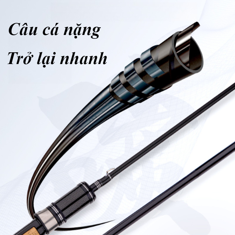 Cần Câu Quay Đúc Carbon - Nhẹ, Nhạy Cao, Thích Hợp Cho Người Mới & Câu Giải Trí