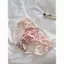 Quần lót ren khóa phía trước gợi cảm của người Mỹ Châu Âu Tập hợp ngực nhỏ Liền mạch Áo ngực lưng đẹp Không có vòng thép Áo ngực chống chảy xệ