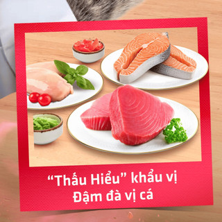 [ Combo Ngáo Siêu Rẻ ] Silver Spoon soup thưởng Nhật Bản Cho Mèo Mọi Lứa Tuổi - Gói 8 Thanh x 6g