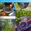 Hang & Tôm nổi Betta HL – Hammo bể cá 3 trong 1, Vòng ăn nổi & Điểm nghỉ ngơi – Trang trí cá Betta in 3D LMWU