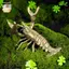 Đồng Chắc Chắn Crayfish Trang Trí Vintage Động Vật Bút Để Bàn Trang Trí Thủ Công Bộ Sưu Tập Tôm Hùm Các Bức Tượng Trà Thú Cưng ELWW