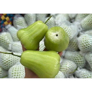 Cây giống mận xanh tam hoa