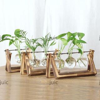 Bình trồng cây thủy canh JUIC Vintage Terrarium Để bàn Planter Khung gỗ