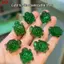 ECK Mini Bóng Trong Suốt Rùa Xanh Các Bức Tượng Nhỏ Dễ Thương Nhựa Tượng Cho DIY Trang Sức Trang Trí Bàn Làm Việc Nhà Trang Trí Rùa Người Yêu Quà Tặng HOT