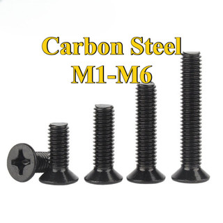 Ốc Vít Đầu Dẹt Đen inox 304  /Ốc vít đầu pake dẹp mỏng phẳng   Chuyên Dụng  KM Vít M1-M6 [LXY-CB-1]