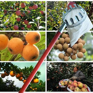 vợt đầu sào hái trái cây trên cao,dụng cụ hái trái cây