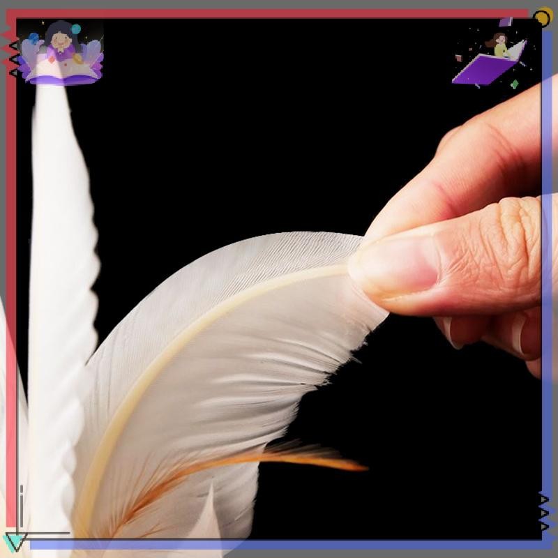 Gà trắng kiểu hoa CANAMEK, thích hợp để tập thể dục và giải trí