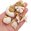 Vòng cổ mặt dây chuyền bãi biển SAMO, Phong cách bãi biển Chủ đề đại dương Mặt dây chuyền quyến rũ sao biển, Mặt dây chuyền quyến rũ bằng thép không gỉ cỡ lớn thủ công bền bỉ để làm đồ trang sức