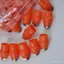 Picker Tứ Xuyên Tiêu Chọn Dụng Cụ Chăm Sóc Tay Ngón Tay Cái Dao Sắt Móng Tay Pincher Nông Nghiệp Làm Vườn Dụng Cụ E0GQ