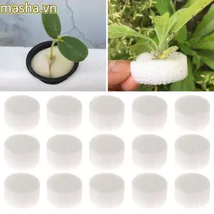 10 / 50 Chiếc Mầm Non Xốp Đồ Dùng Làm Vườn Nuôi Bể Cá Khay