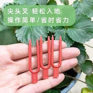 Làm Vườn Nhà Kính Dâu Trồng Nĩa Hộ Gia Đình Trồng Ép Dâu Ép Vine Cố Định Nĩa Làm Vườn Dụng Cụ C54R