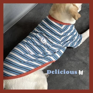【Ready Stock】 Big Dog Clothes Golden Retriever Labrador T-shirt Border Collie Air Conditioning Clothes Golden Retriever Labrador Sun Protection nF8m