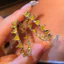 Thời Trang Hàn Quốc Độc Đáo Zircon Phong Cách Mới Nhẹ Sang Trọng Bông Tai Thanh Lịch Bán Buôn
