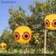 SRVN Anti Bird Bơm Hơi Repeller Scare Eye Balloons Visual Deterrent Farm Protector.