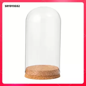 Clear Dome Cloche Kính Hiển Thị Vòm Terrarium Đế Bằng Gỗ Hoa Hộp Đựng Hàng Thủ Công Lọ Giá Đỡ Thích Hợp Cho Để Bàn Trang Trí Sự Kiện