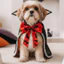 QEARY Chó Halloween Cape, Cổ Mềm Mại Thú Cưng Bát Áo Choàng, Trang Phục Hóa Trang Cho Chó Con Hai Kích Cỡ Nhẹ Hai Màu Mèo Phù Thủy Áo choàng Ảnh Đạo Cụ