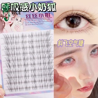 Lông mi từ tính Wispy tự nhiên - Bộ cụm cáo thoáng khí để trang điểm hàng ngày