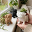 Nồi trồng cây hình Pug DONOVANQQ, Nồi hình động vật bằng nhựa tối giản, Sáng tạo thủ công ngộ nghĩnh 3D in hình chó mọng nước Trang trí nội thất