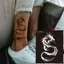 DARON Henna Tattoo Stencil, Đề can hình xăm giả rỗng Bản mẫu hình xăm Henna, Nhãn dán Mehndi chuyên nghiệp Bướm sói Rồng Phượng Ấn Độ Hoa Hình xăm tạm thời Nam / Nữ