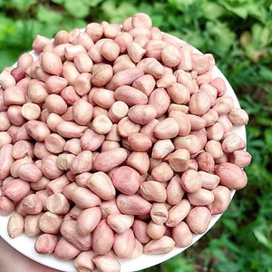 Lạc trắng lạc quê bóc tay
