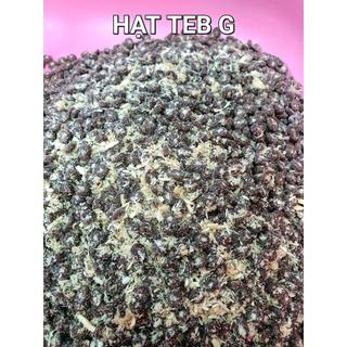 Hạt Cho Mèo TEB Seri G 1.5Kg G90 G91 42%-45% Đạm Premium Mix Ruốc Gà All Cat
