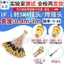 RG178 Dây mạ bạc UF.L sang SMA Jumper IPEX sang SMA Nữ Card mạng không dây IPX RF Adapter Cable