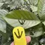 Pet Paw In Dập Nổi Tem Cho Tự Làm Nghệ Thuật Động Vật Độc Đáo Công Cụ Dập Dấu Chân Cho Quà Tặng Handmade Tùy Chỉnh