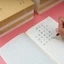 Sổ tay BEABOUT, Văn phòng phẩm nhân vật Sách bài tập Pinyin, Sách bài tập Tian Zige dành cho sinh viên