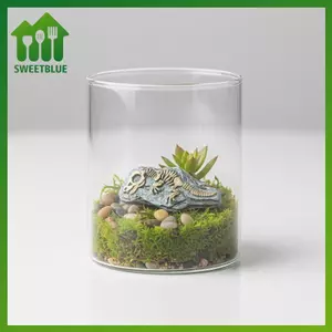 SWEET 3 / 4 / 8 Chiếc Thực Tế Mini Fossil Model Micro Phong Cảnh Để Bàn Trang Trí Đồ Trang Trí, Nhà, Bàn Cát / Cây Cảnh / Đạo Cụ Chụp Ảnh n